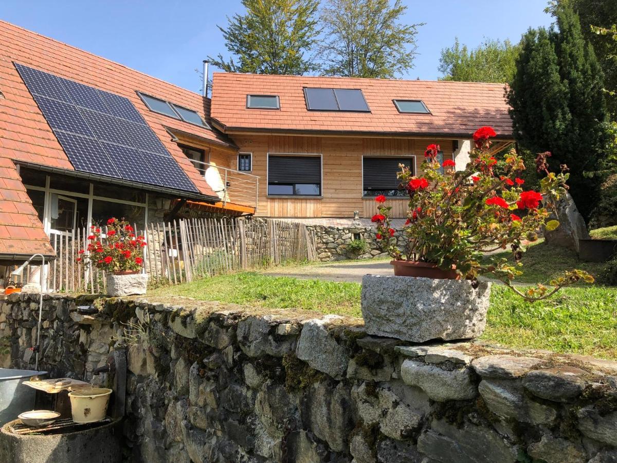 La Maison De Jean Les Adrets Eksteriør billede